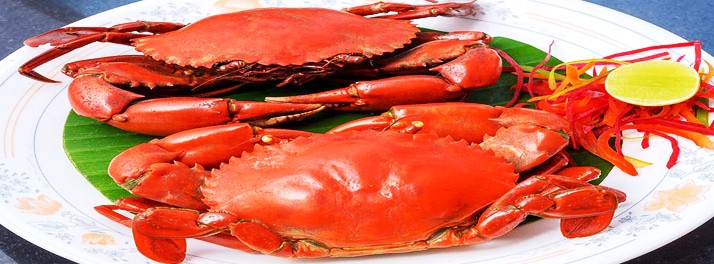 849/Nanutel - Margao (South Goa) 10.jpg